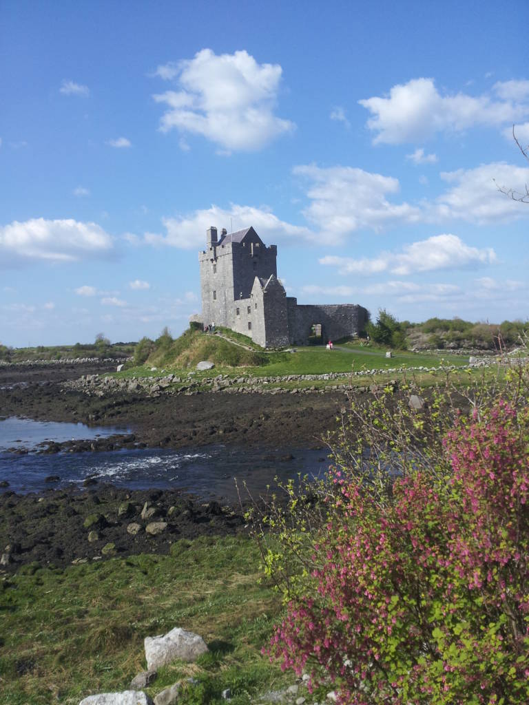  dunguaire castle kinvarra